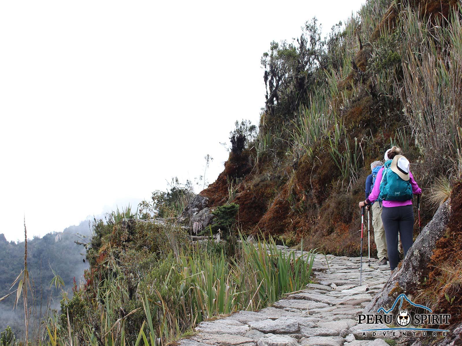Inca Trail Path
