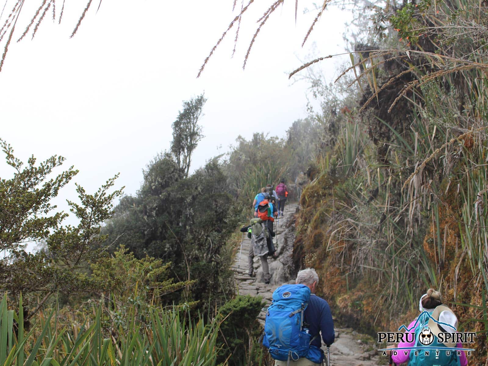 Inka Trail path