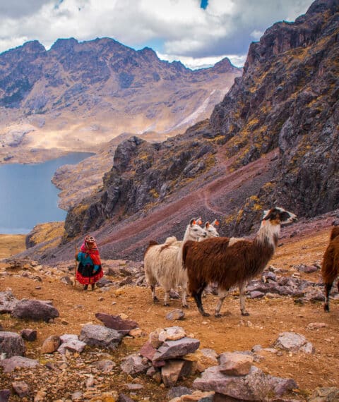 Lares Trek 5 Days & Short Inca Trail 5D/4N
